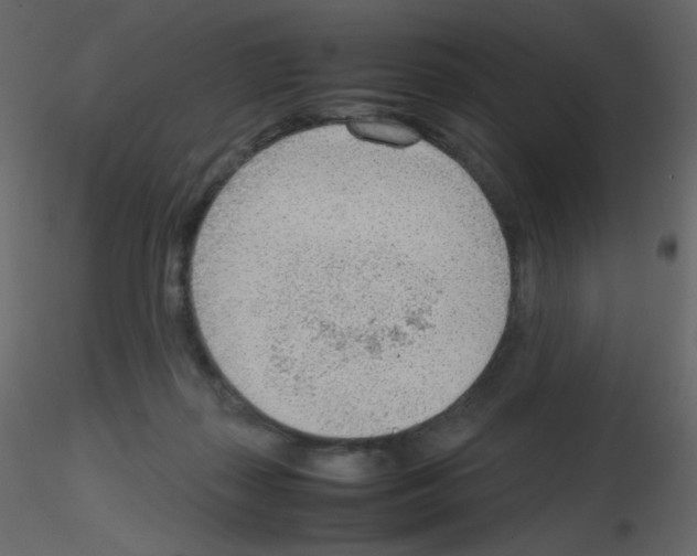 X0000115780267200912241817