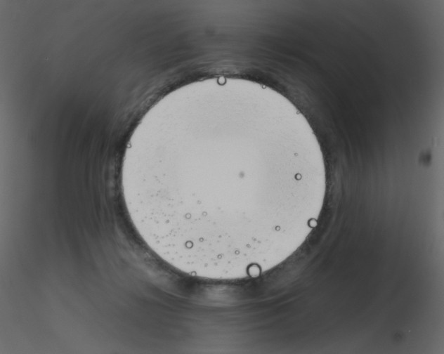 X0000115780268200912241817