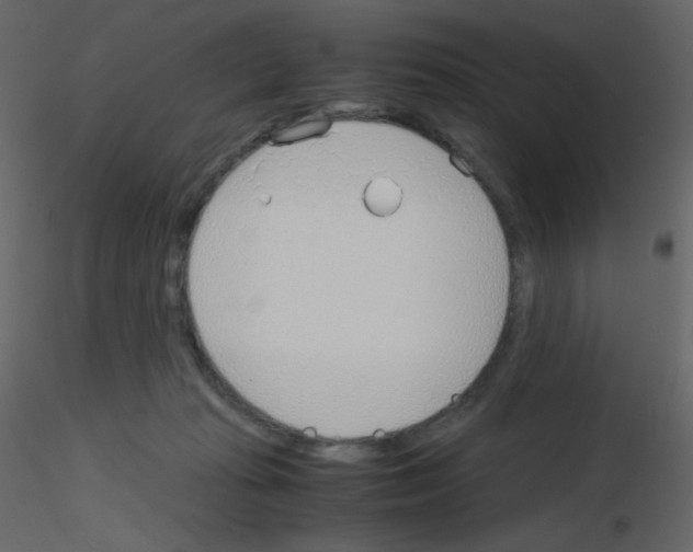 X0000115780269200912241817