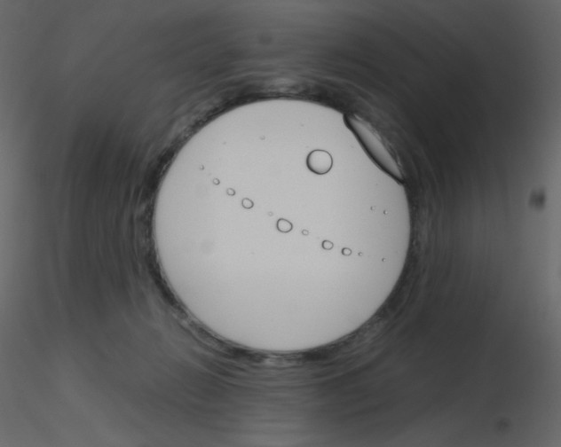 X0000115780270200912241817