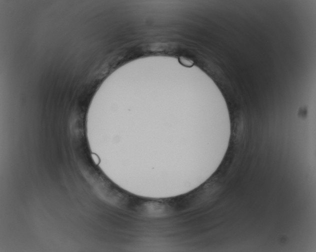 X0000115780272200912241817