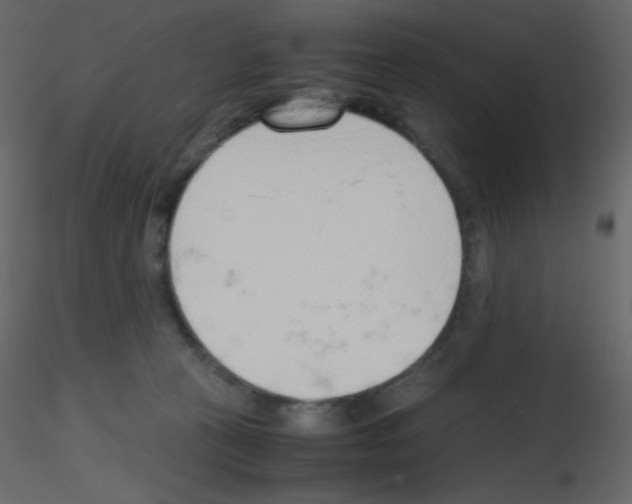 X0000115780273200912241817