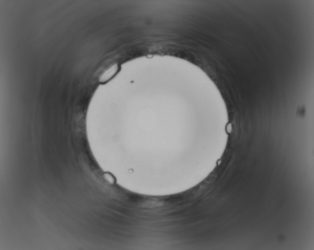 X0000115780276200912241817