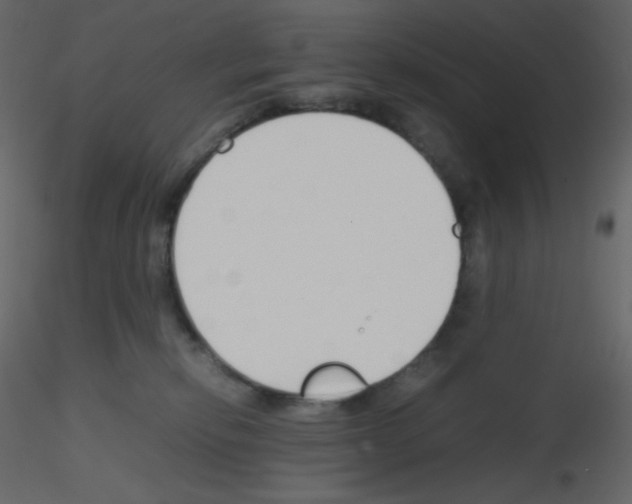 X0000115780278200912241817