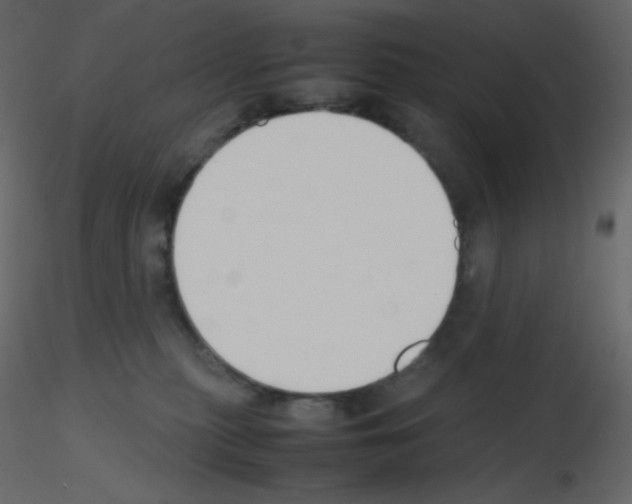 X0000115780279200912241817