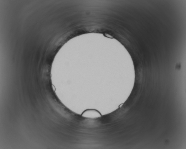 X0000115780280200912241817