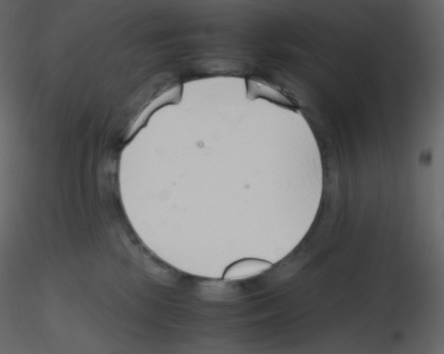 X0000115780281200912241817