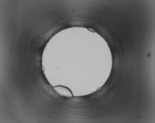 X0000115780282200912241817