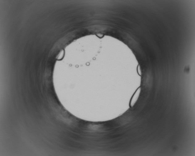 X0000115780283200912241817