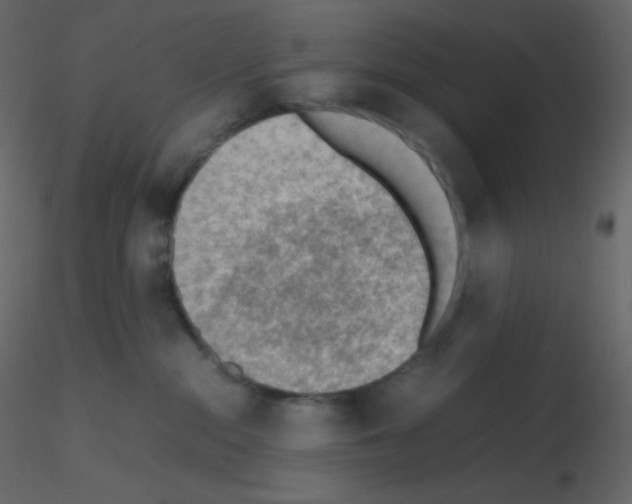 X0000115780284200912241817