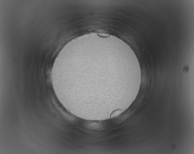 X0000115780285200912241817