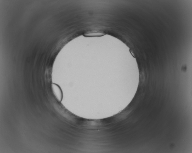 X0000115780286200912241817