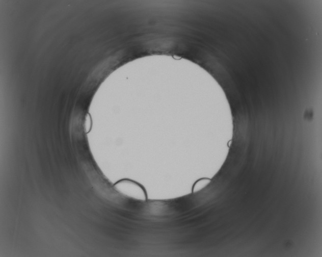 X0000115780287200912241817