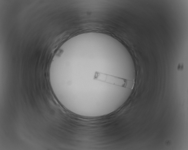 X0000115780288200912241817