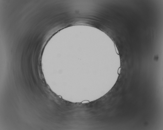 X0000115780289200912241816