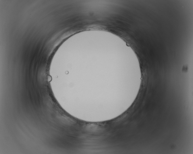 X0000115780290200912241816