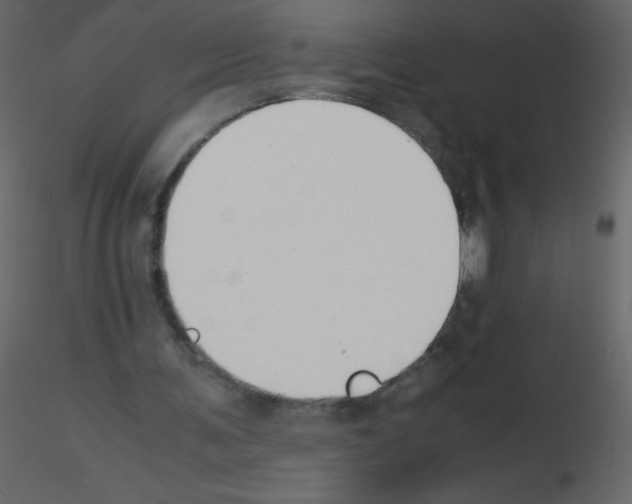 X0000115780291200912241816