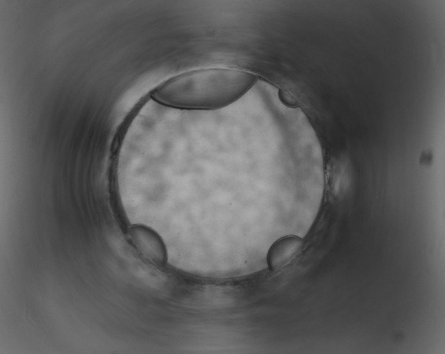 X0000115780292200912241816