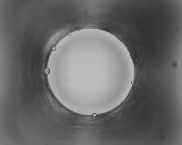 X0000115780293200912241816