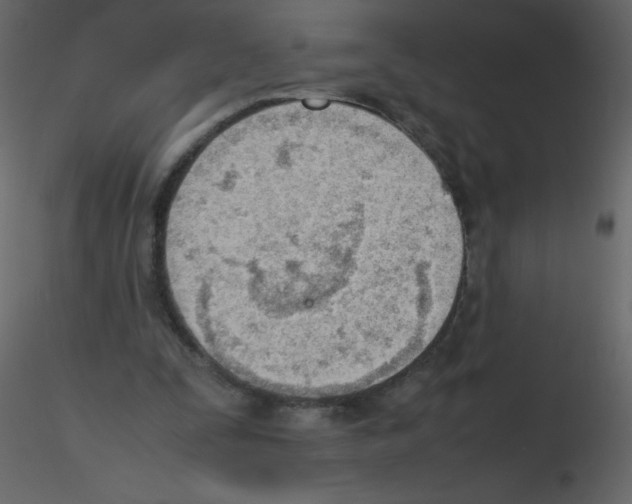 X0000115780295200912241816