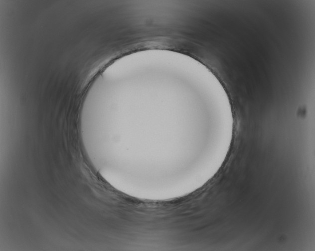 X0000115780297200912241816