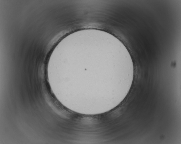 X0000115780298200912241816