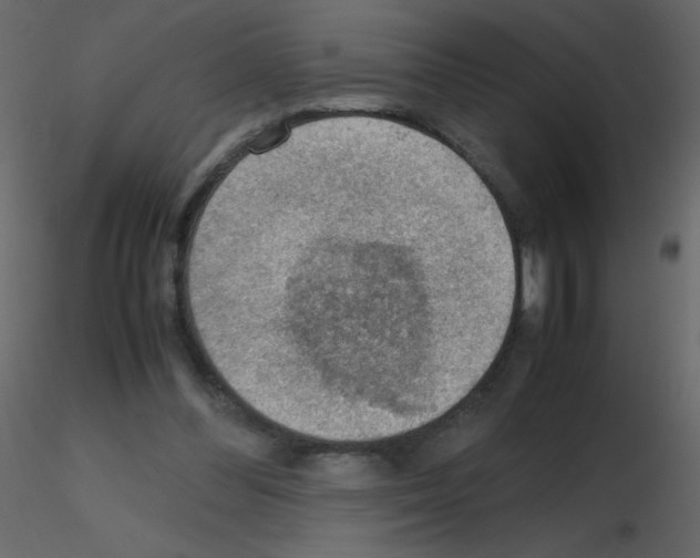 X0000115780300200912241816