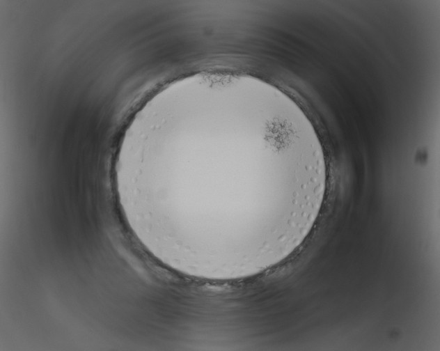 X0000115780302200912241816