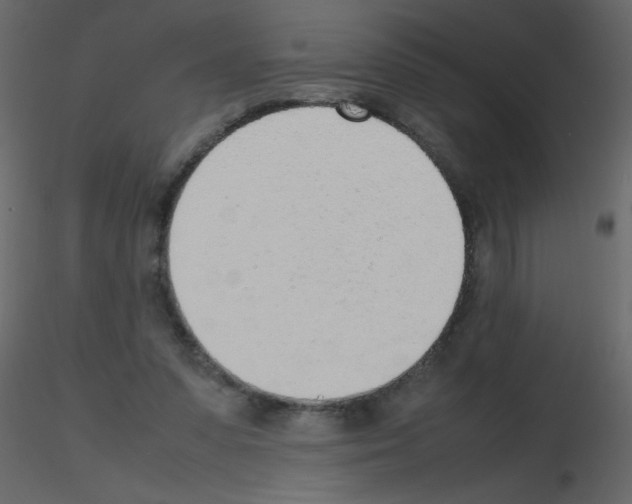 X0000115780303200912241816