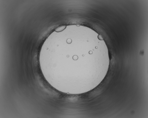 X0000115780306200912241816