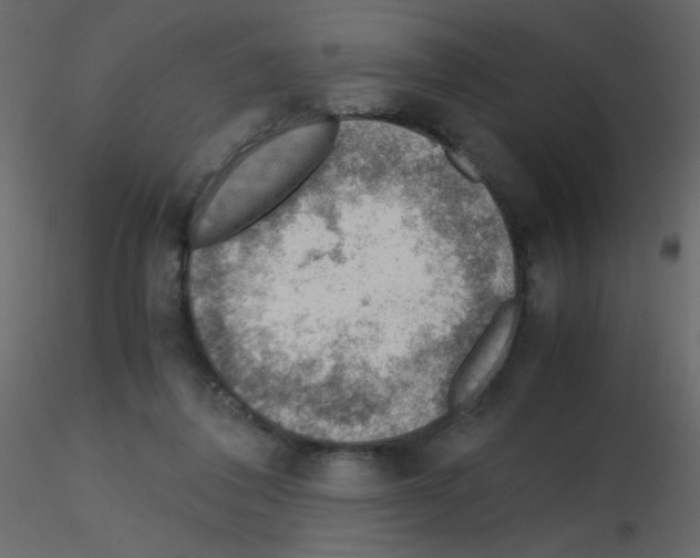 X0000115780308200912241816