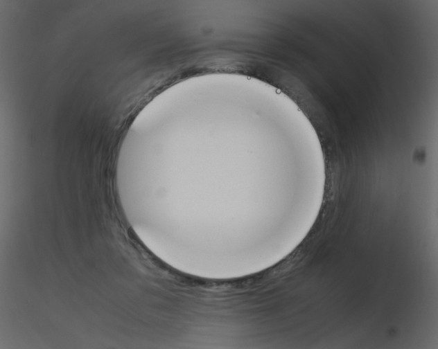 X0000115780309200912241816