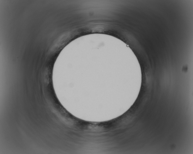 X0000115780311200912241816