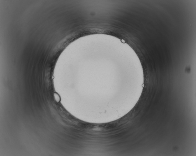 X0000115780312200912241816