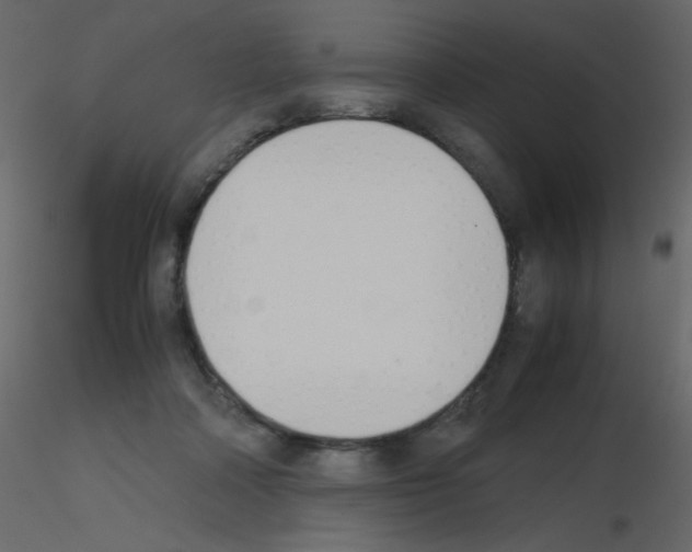 X0000115780314200912241816