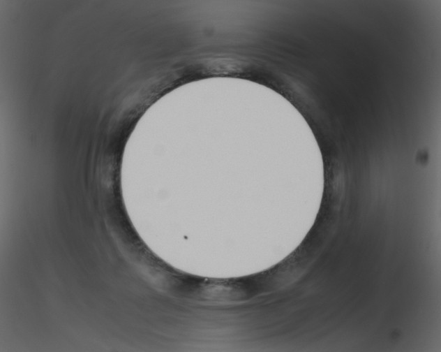 X0000115780315200912241816