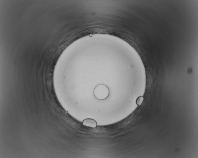 X0000115780317200912241816