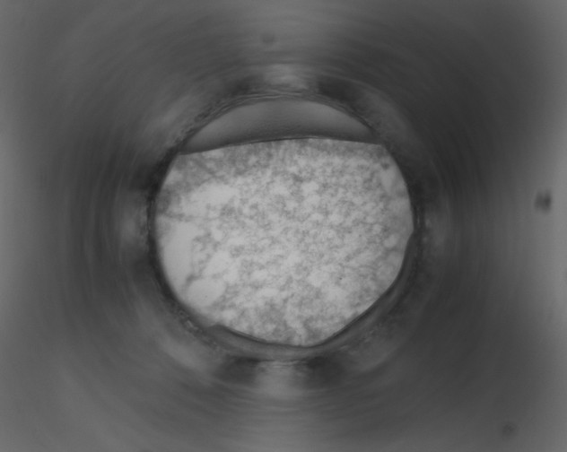 X0000115780320200912241816