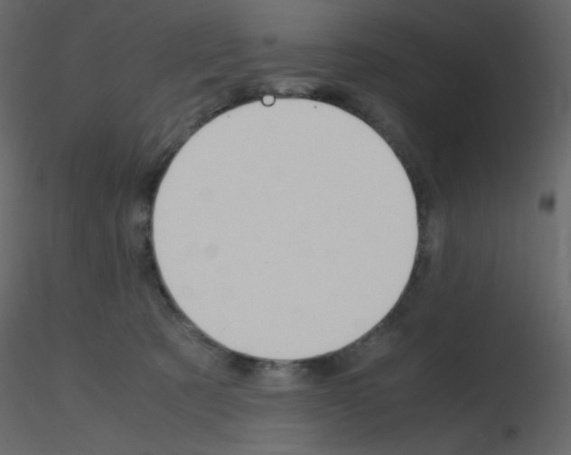 X0000115780321200912241816