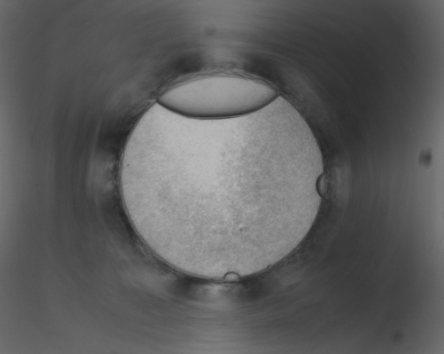 X0000115780323200912241816