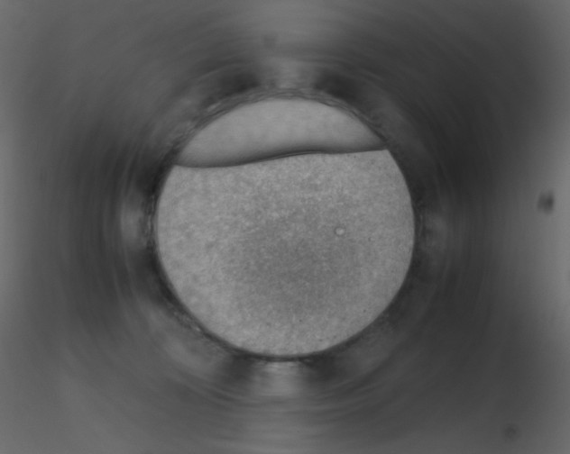 X0000115780324200912241816