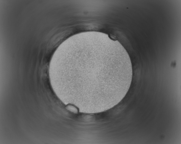 X0000115780325200912241816