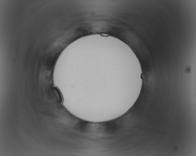 X0000115780327200912241816