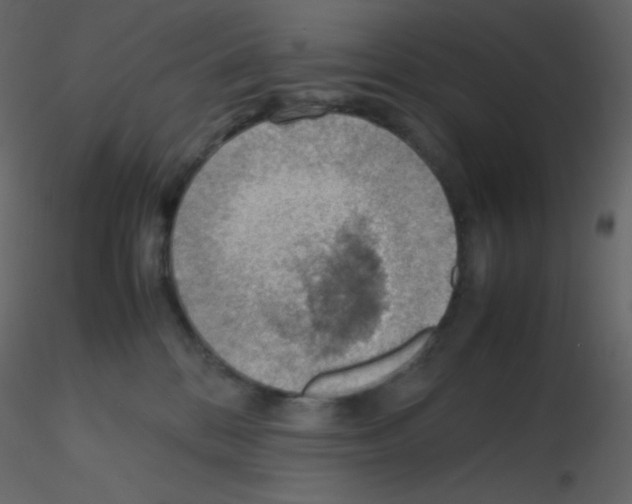 X0000115780328200912241816