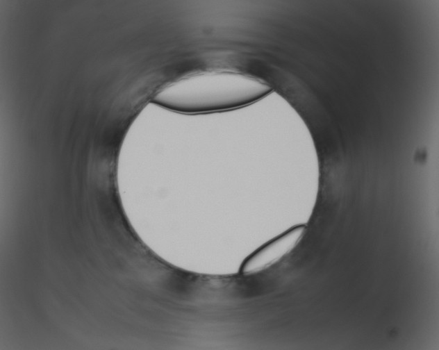 X0000115780329200912241816