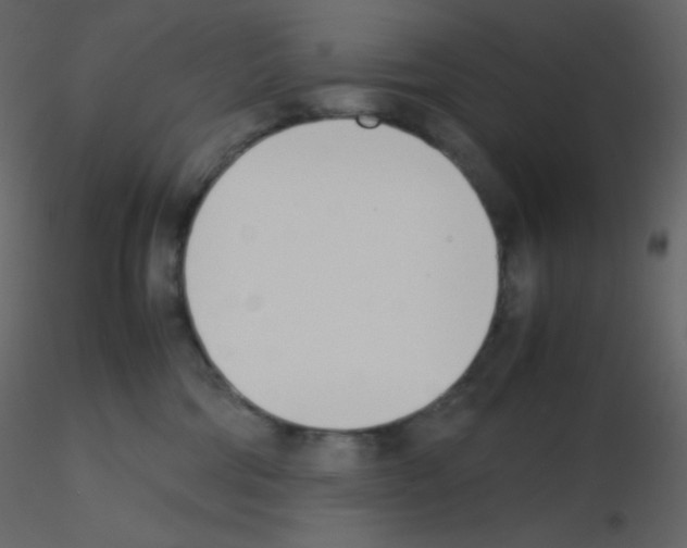 X0000115780330200912241816