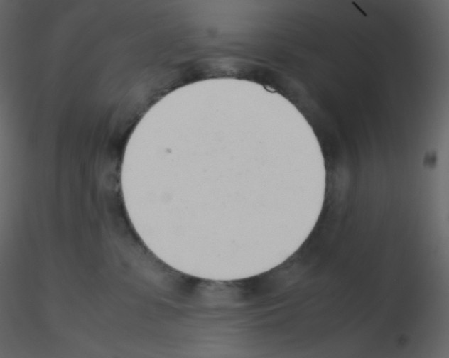 X0000115780331200912241816