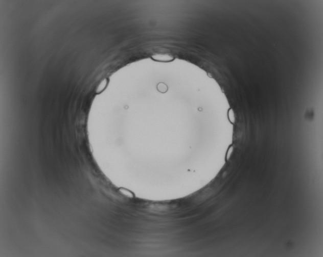 X0000115780332200912241816