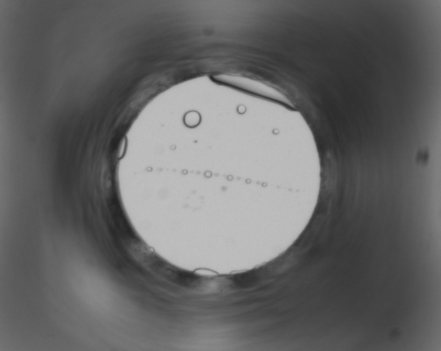 X0000115780333200912241816