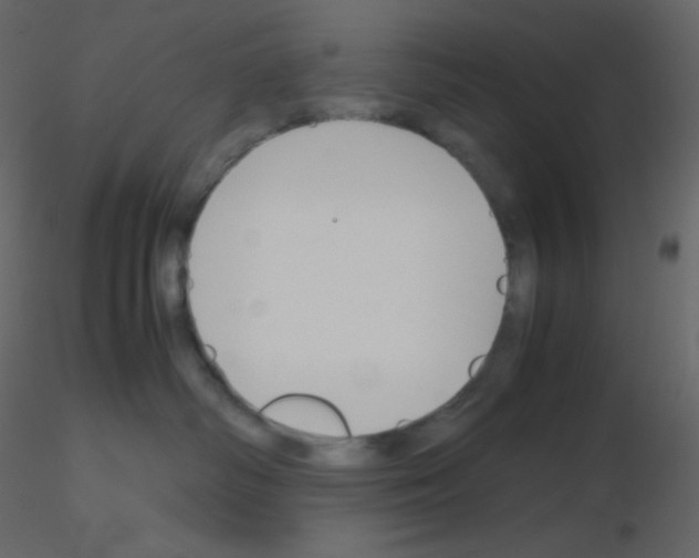 X0000115780334200912241816